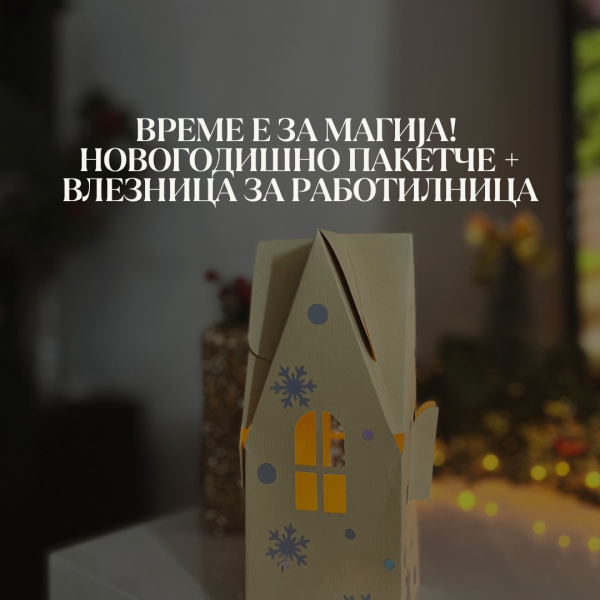 Новогодишна куќичка + лампион